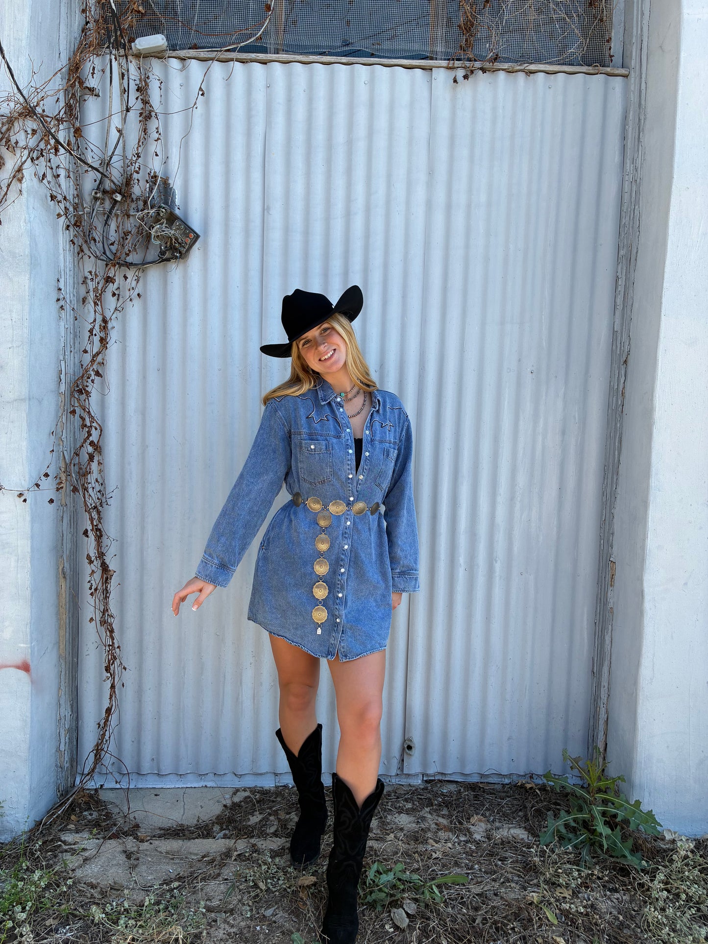 Denim Button-up Shirt Dress