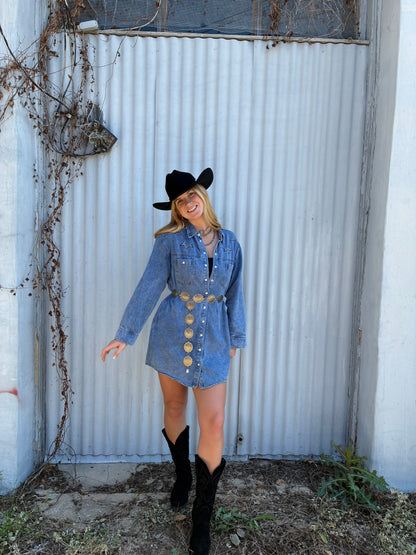 Denim Button-up Shirt Dress