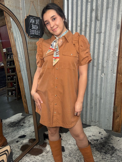 Clay Button Down Mini Dress