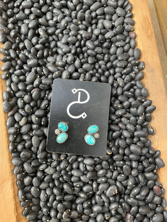 Whitewater Turquoise Stud Earrings