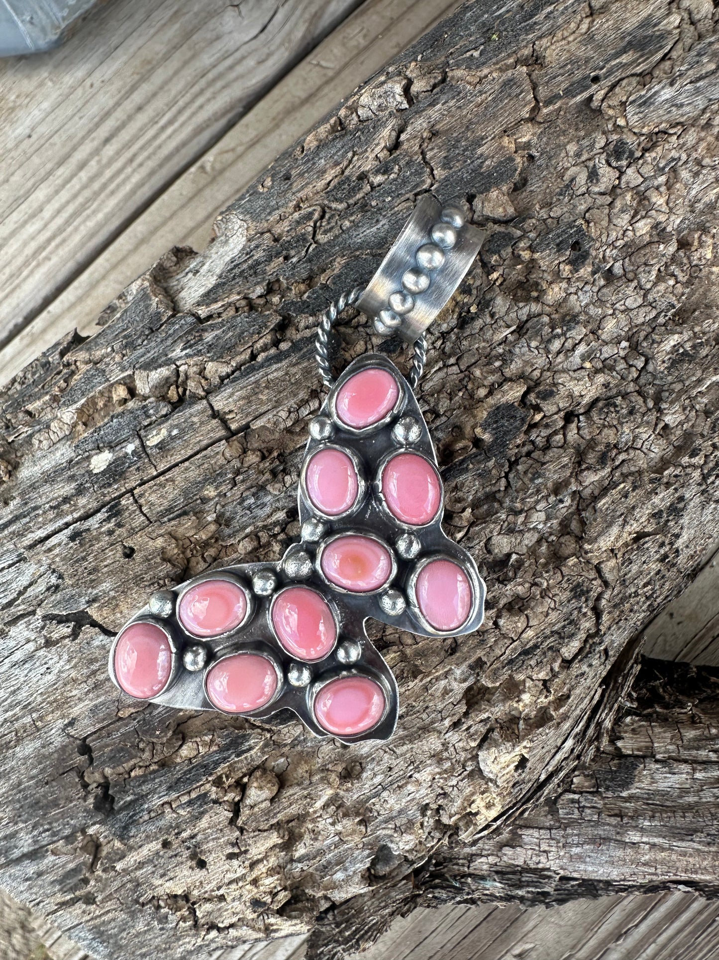 It’s Butterfly Season